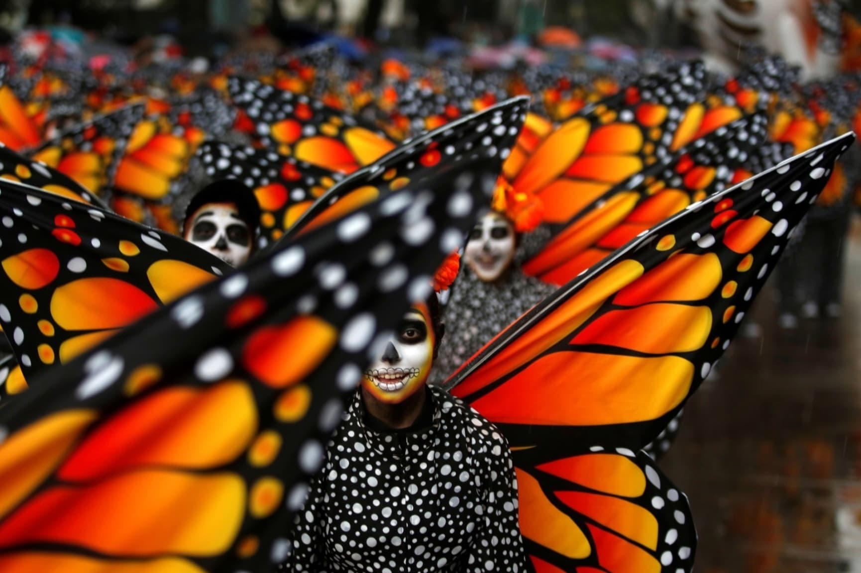 dia de los muertos butterflies